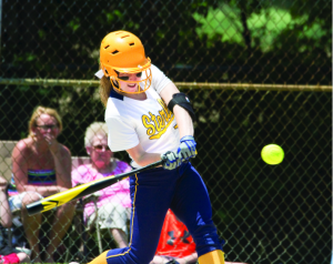 Softball: Sterling holds of D.G. South